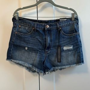 Brand New Denim Shorts